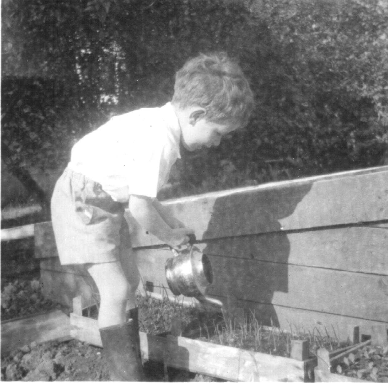 Clive, watering bedding plants by cold frame.jpg