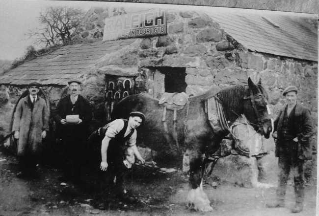 Pedoli yng ngefail Chwilog.jpg