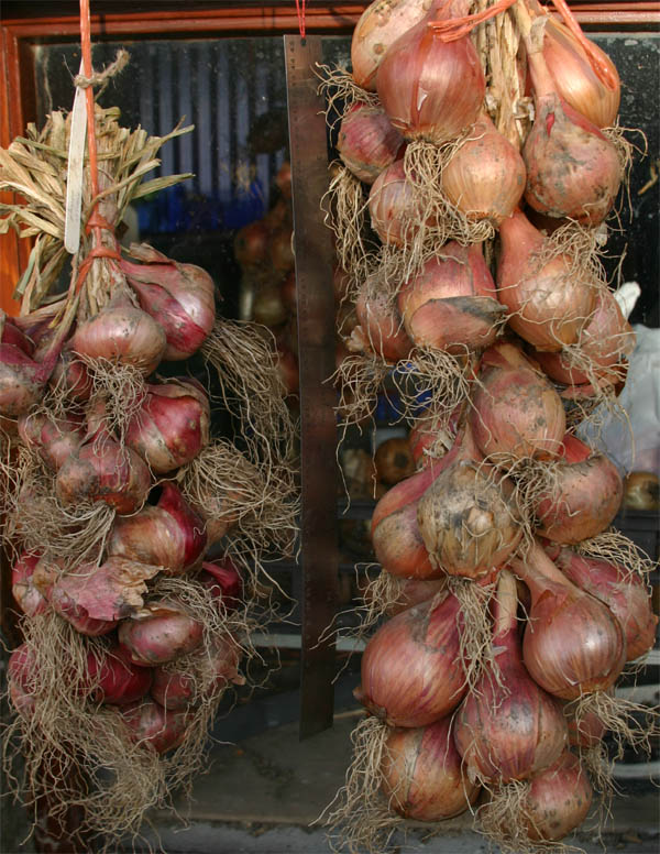 Shallots1.jpg