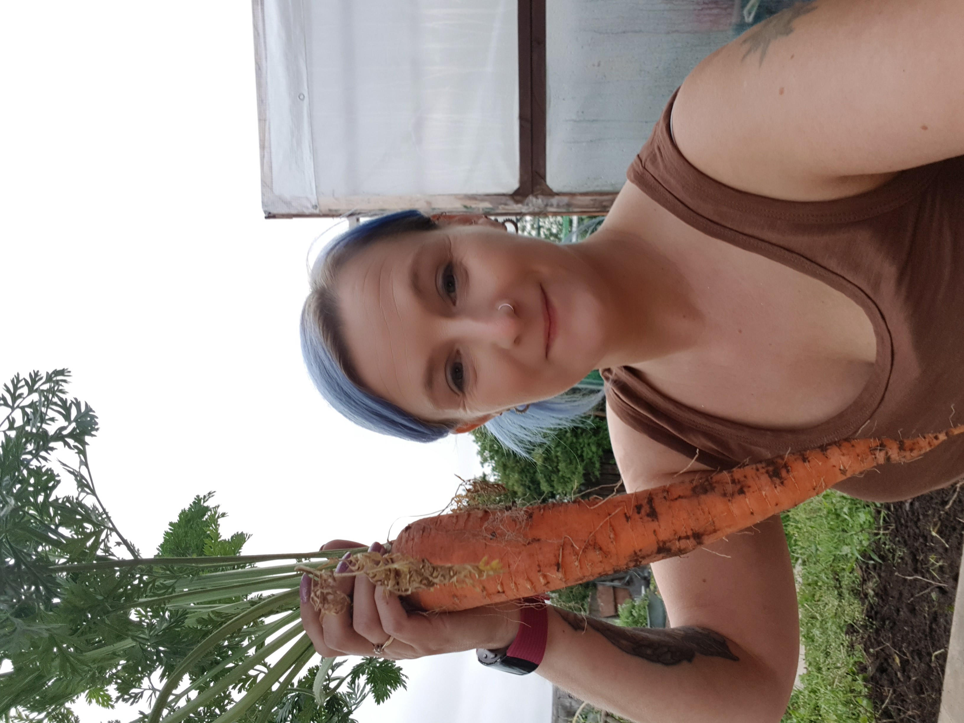 1 giant carrot