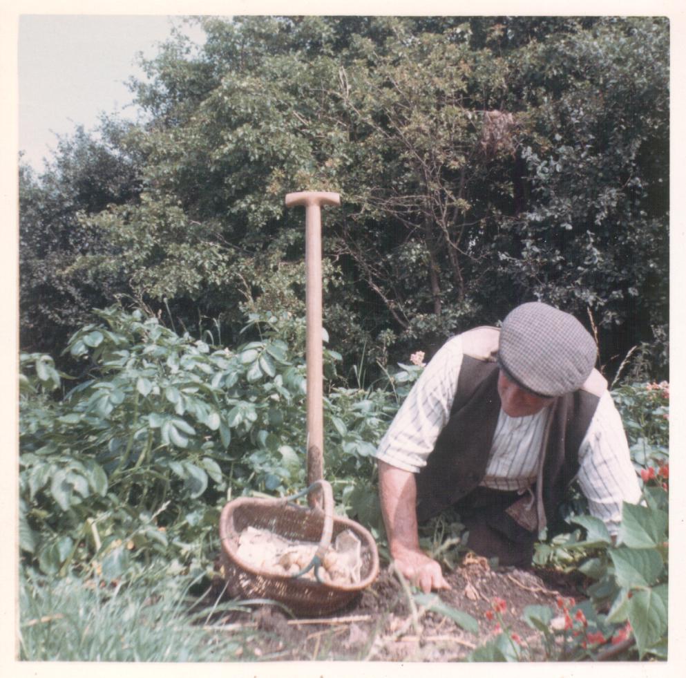 Grandad digging Maris Peer 1969.jpg