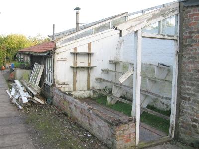 N. lean to, 11-10.jpg