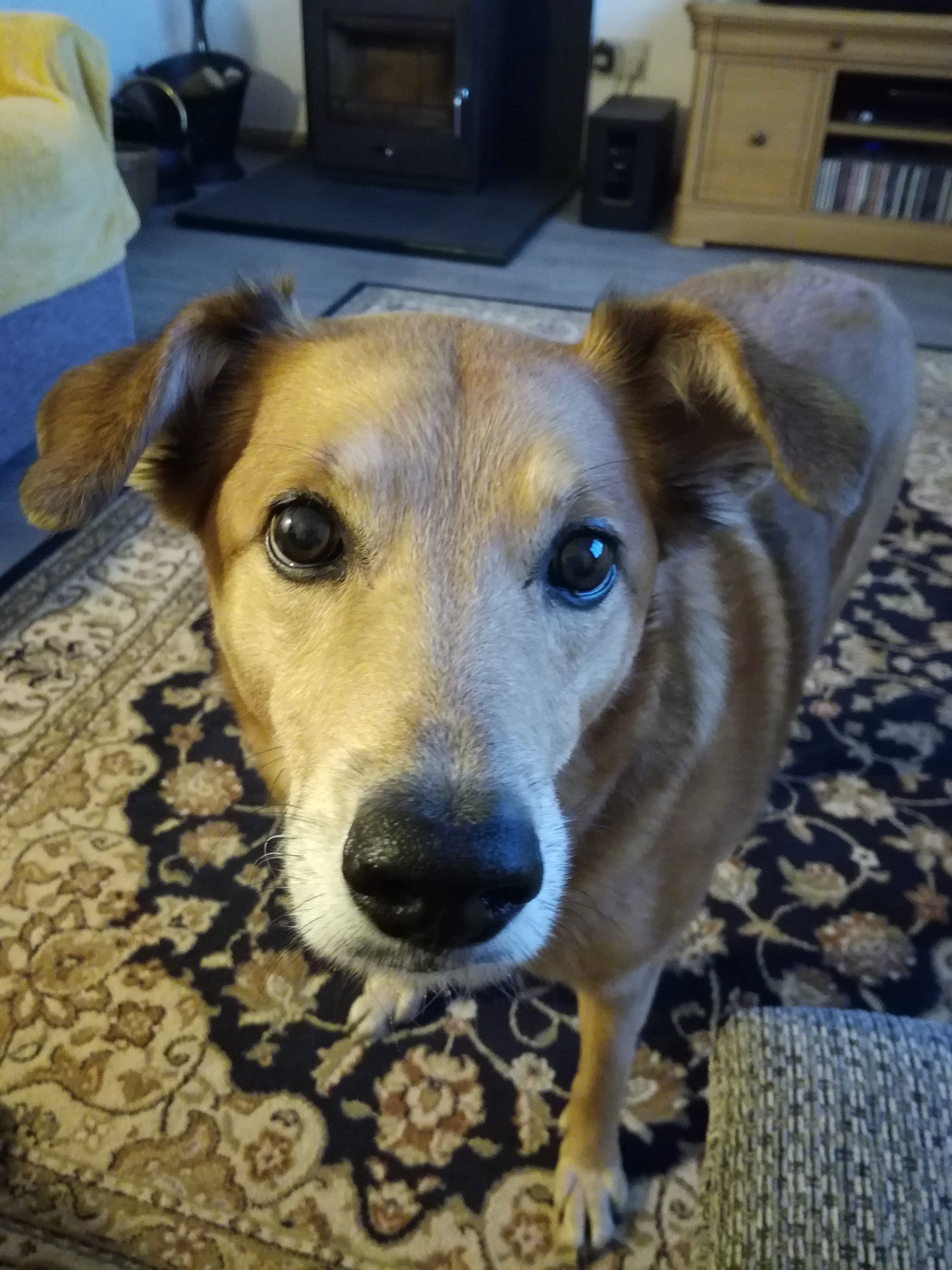 Molly 24 April 21.jpg