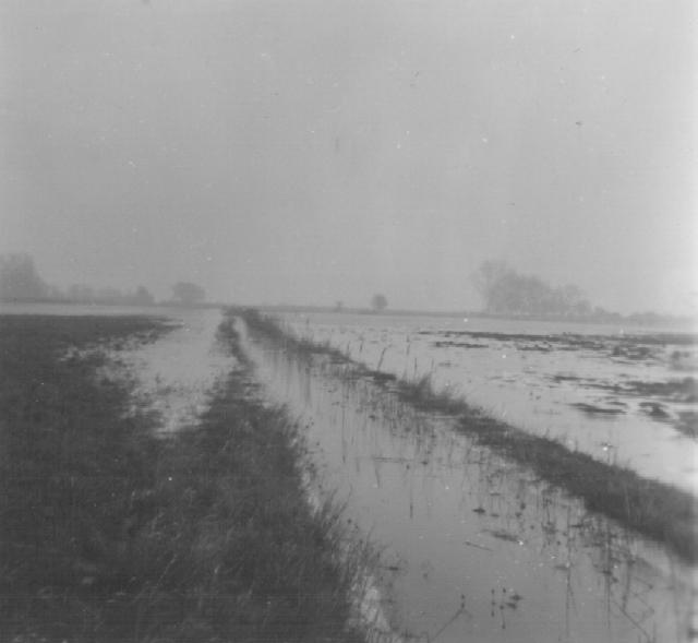 Fen Field 2.JPG