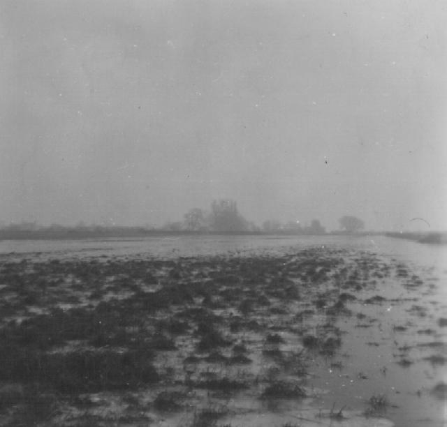 Fen Field 3.JPG