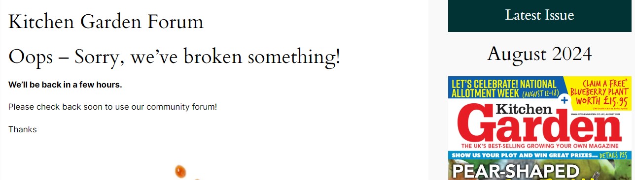 Screenshot 2024-07-31 211159.jpg