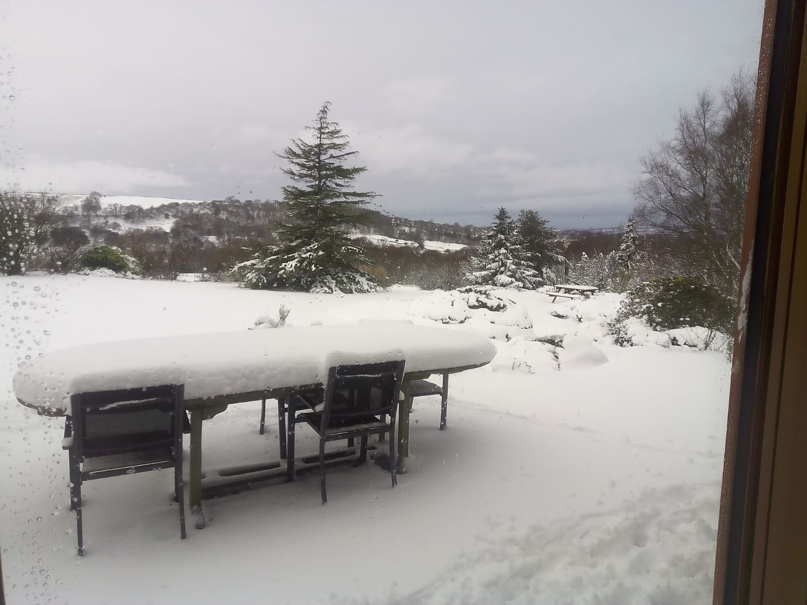 0769a3f0-0e4f-4330-a075-ebb0e204f100.jpeg