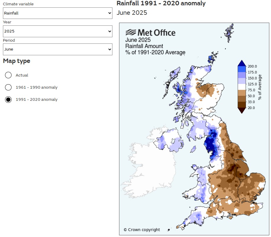 Screenshot 2025-07-04 184047.jpg