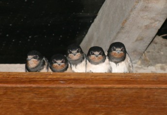 Screenshot 2025-08-20 173522.jpg