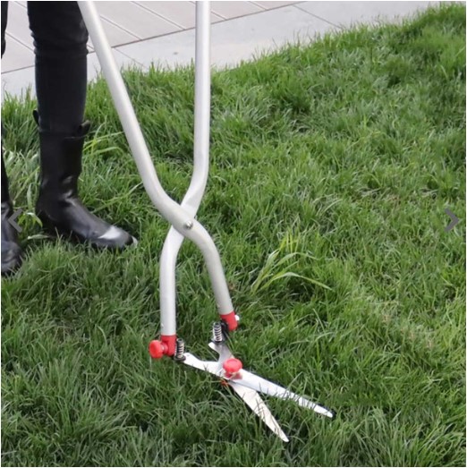 Screenshot 2025-10-05 144248.jpg