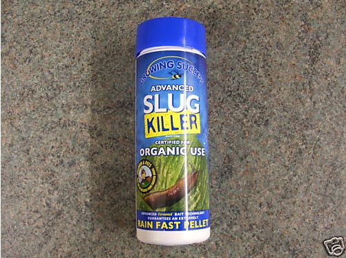 slug killer.jpg