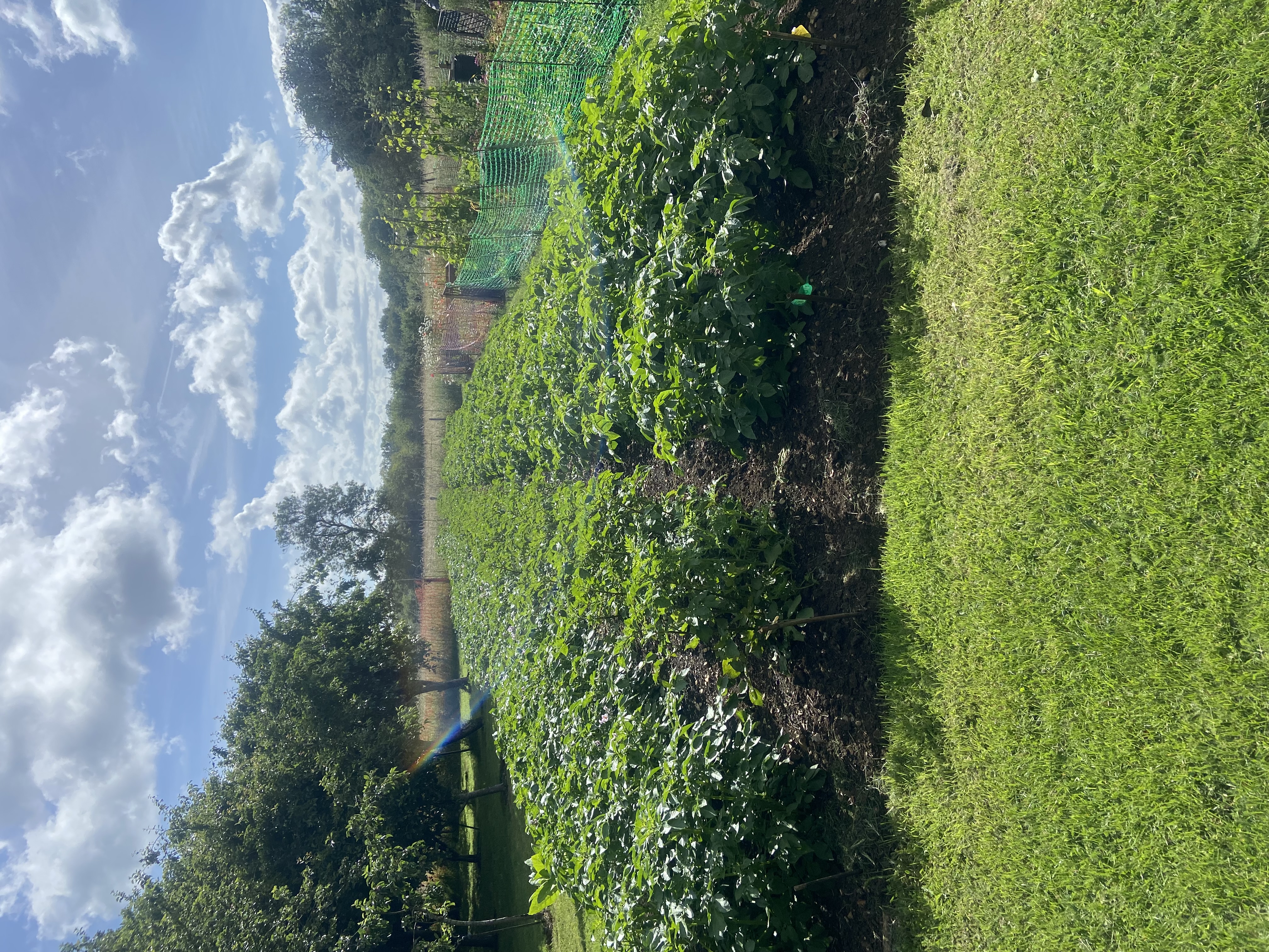 IMG_0476.jpeg
