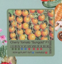 Screenshot 2026-07-02 112743.jpg