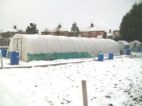The Polytunnel