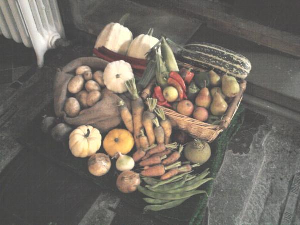 Harvest thanksgiving 2011.jpg