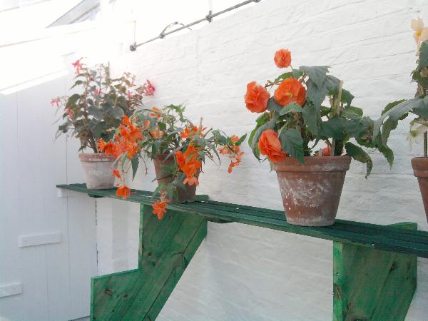 New staging 28-10-11.jpg