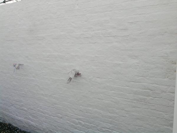 Whitewash 28-10-11.jpg