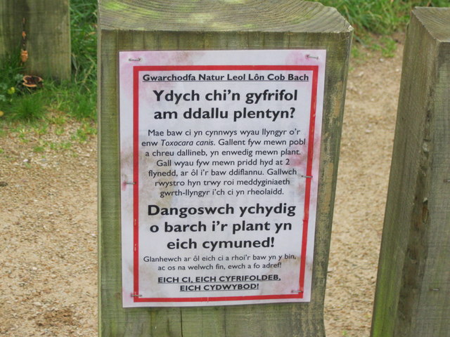 Glanhewch ar ôl eich ci .jpg