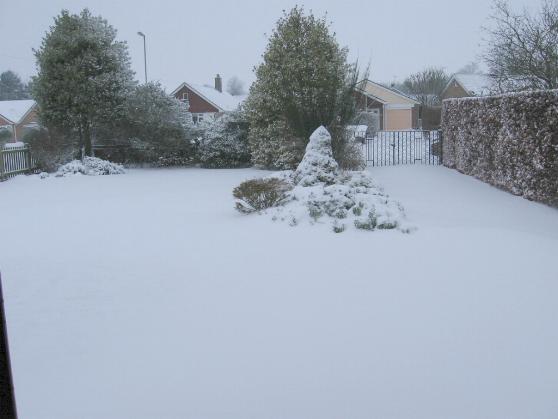 Snow front garden 5-2-12.jpg