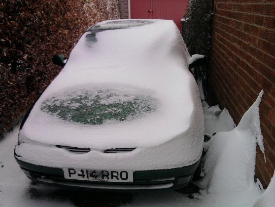 Snowy Astra 5-2-12.jpg
